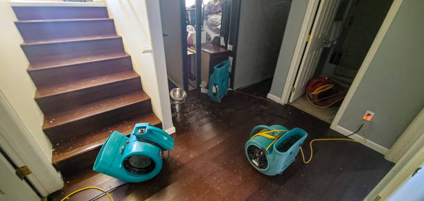 Best Flood restoration services  in Rio, WI