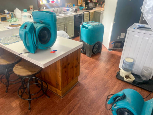 Best Water damage restoration near me  in Rio, WI