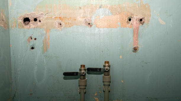 Best Commercial water damage restoration  in Rio, WI