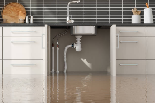 Best Professional water damage repair  in Rio, WI