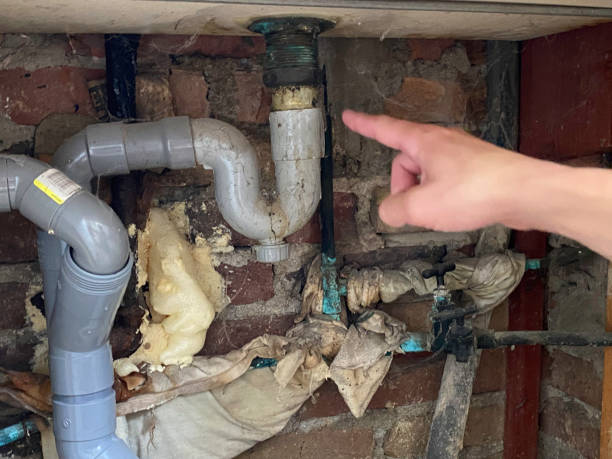 Best Water damage restoration process  in Rio, WI