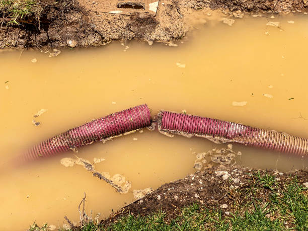 Best Water damage restoration near me  in Rio, WI
