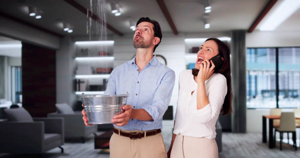  Rio, WI Water damage restoration Pros